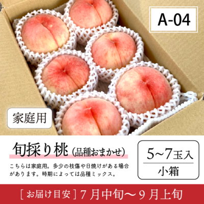 旬採り桃A04/【家庭用】旬採り桃 5-7玉入 91K