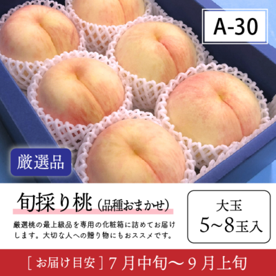旬桃リズムA30/【厳選品】旬採り桃 5-8玉入 8R