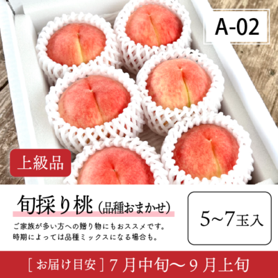 旬採り桃A02/【上級品】旬採り桃 5-7玉入 40R