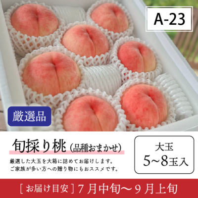 旬採り桃A23/【厳選品】旬採り桃 大玉 5-8玉入 42R