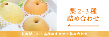 梨2-3種