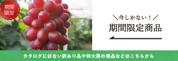 期間限定商品