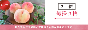 旬桃2回便