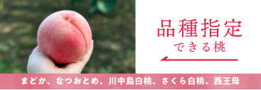 品種指定の桃