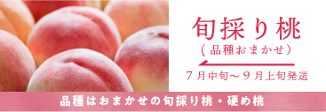 旬桃
