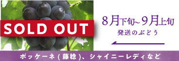 8月-9月の葡萄