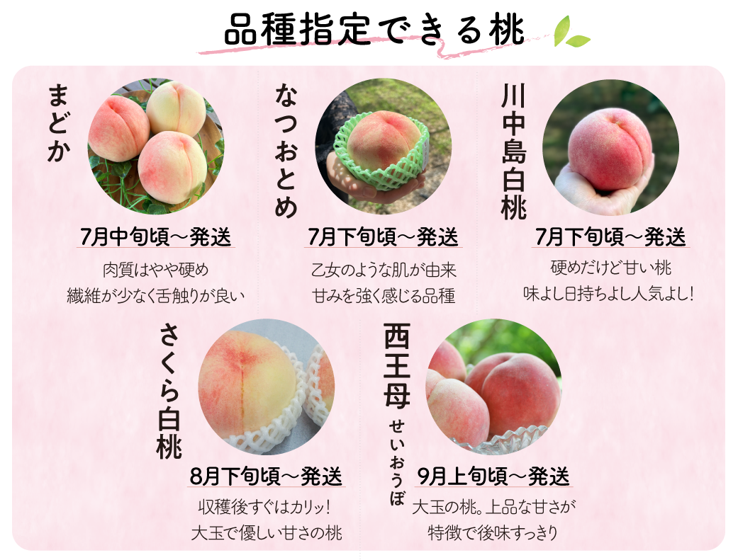 品種指定桃品種紹介