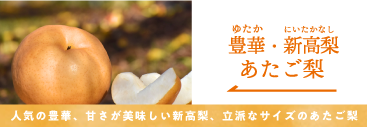 豊華・新高・あたご