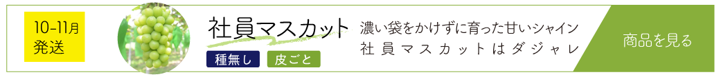 社10月