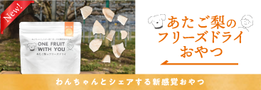 梨FD