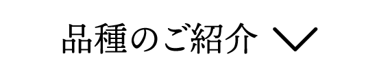品種紹介
