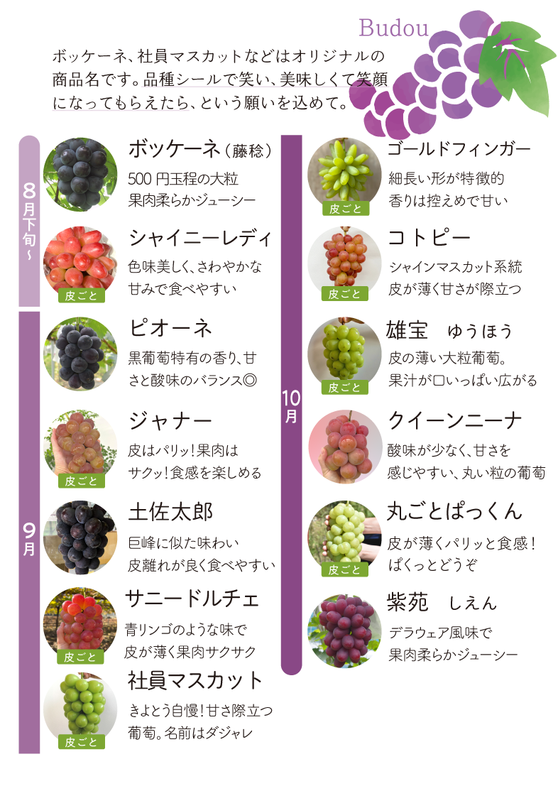 ぶどう品種紹介