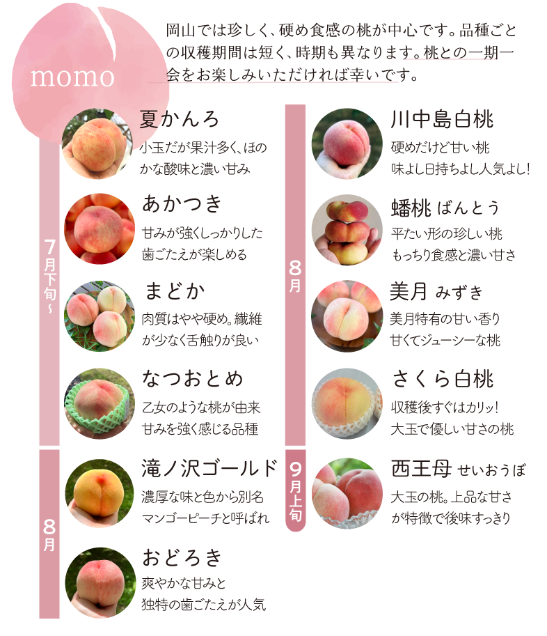 桃品種紹介