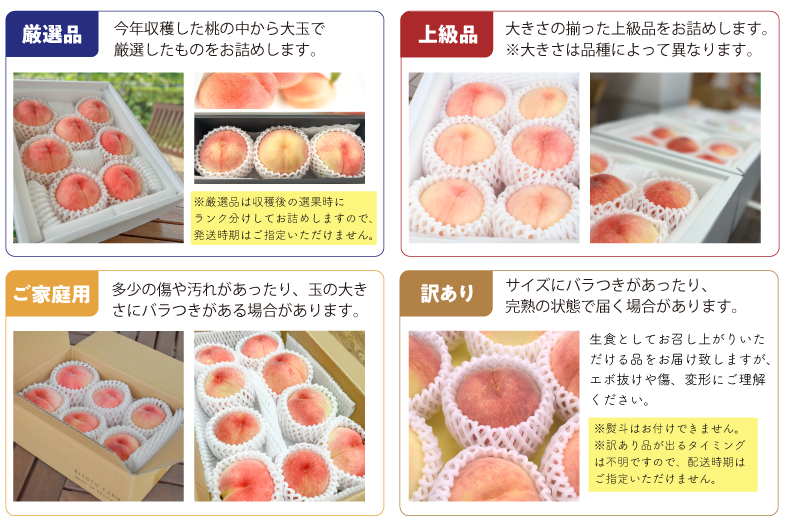 ランクの紹介