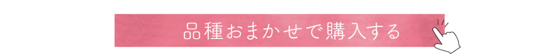 品種おまかせで購入するボタン