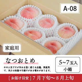 なつおとめA08/【家庭用】なつおとめ5-7玉入 91K