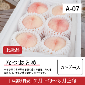 なつおとめA07/【上級品】なつおとめ5-7玉入 40R