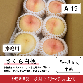 さくら白桃A19/【家庭用】さくら白桃5-8玉入 92K