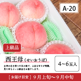 西王母A20/【上級品】西王母4-6玉入 40R