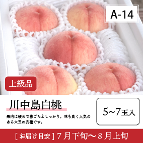 川中島白桃A14/【上級品】川中島白桃5-7玉入 40R