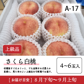 さくら白桃A17/【上級品】さくら白桃4-6玉入 40R