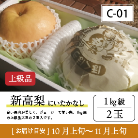 新高梨C01/新高梨【1.0kg級2玉/上級品】20R