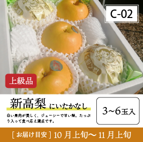 新高梨C02/新高梨【3-6玉/上級品】 30R