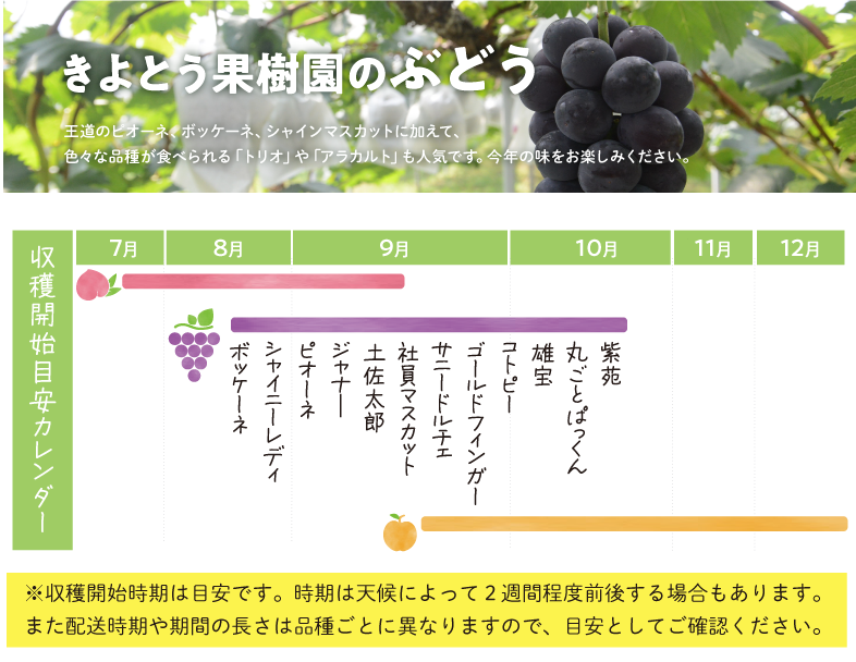 ヘッダー