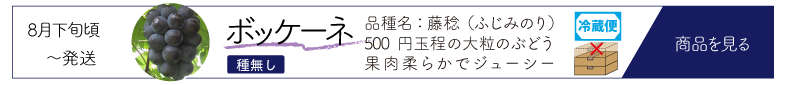 ボケ