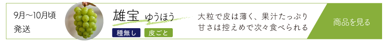 雄宝