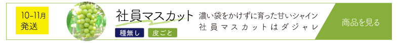 社10月