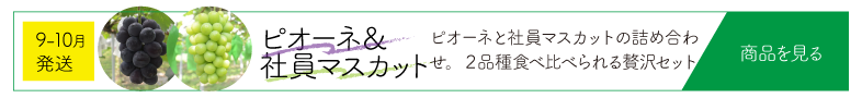 ピオ＆社員