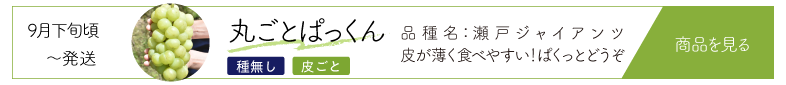 ぱっくん