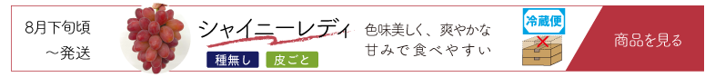 シャイニーレディ