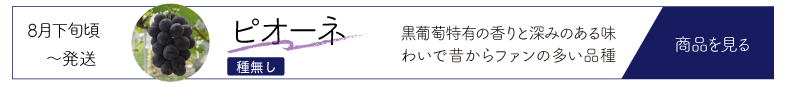 ピオ