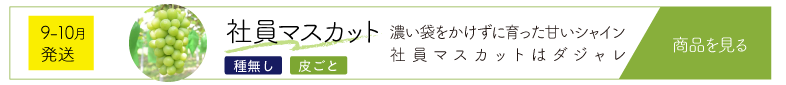 社9月