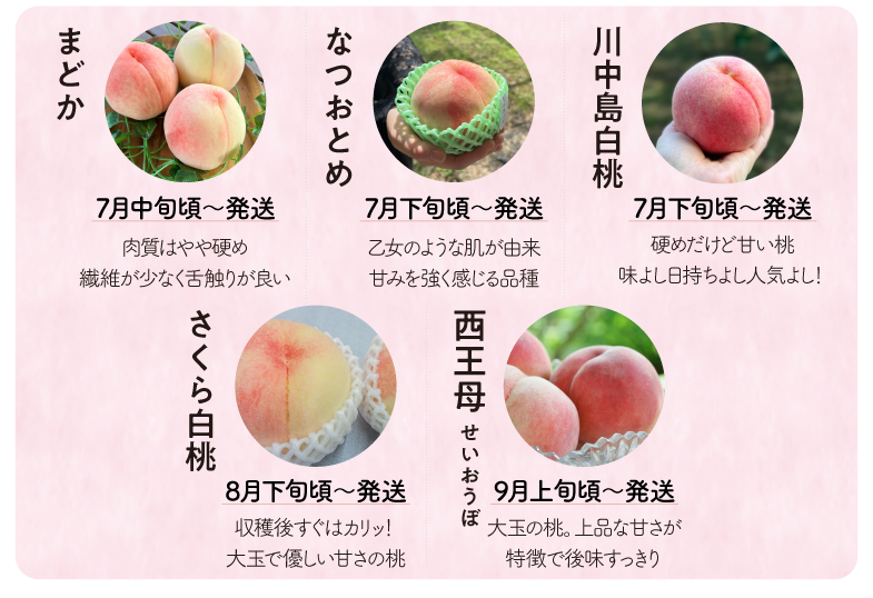品種指定桃品種紹介