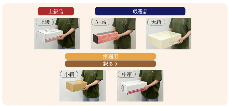 箱サイズ