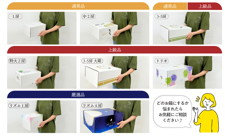 箱サイズ
