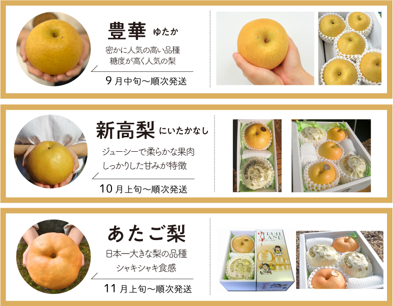 品種指定の梨説明