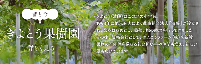 きよとう果樹園とは
