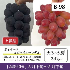 8月-9月B98/ボッケーネ＆シャイニーレディ【大3-5房/上級品】30R