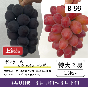 8月-9月B99/ボッケーネ＆シャイニーレディ【特大2房/上級品】2R