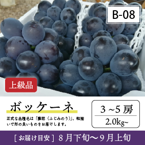 8月-9月B08/ボッケーネ【3-5房/上級品】4R