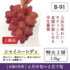8月-9月B91/シャイニーレディ【特大2房/上級品】2R