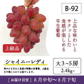 8月-9月B92/シャイニーレディ【大3-5房/上級品】30R