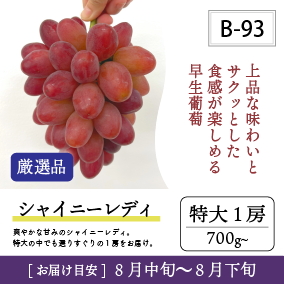 シャイニーレディリズムB93/シャイニーレディ【特大1房/厳選品】7R
