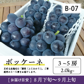 8月-9月B07/ボッケーネ【3-5房】4K