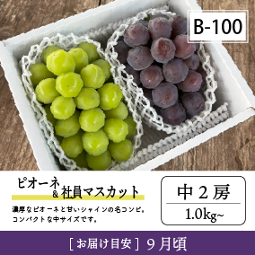 9月-10月B100/ピオーネ＆社員ﾏｽｶｯﾄ【中2房】6K