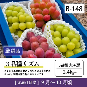 3品種リズムB148/3品種リズム【大4房/厳選品】8R